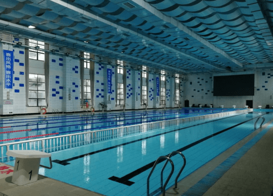 室内恒温小猪视频在线观看下载免费污