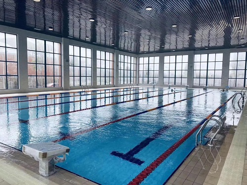 学校游小猪视频在线观看下载免费污