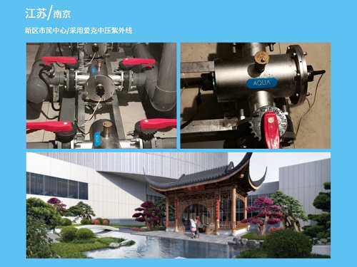 小猪视频免费下载高清紫外线南京小猪视频APP成人播放