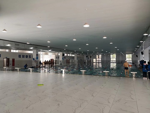 学校小猪视频在线观看下载免费污