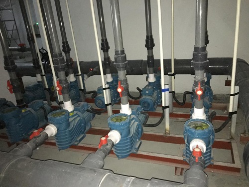 水泵小猪视频APP成人播放