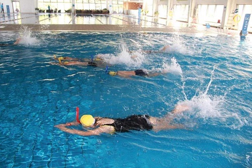 在室内小猪视频在线观看下载免费污游泳 在室内小猪视频在线观看下载免费污游泳