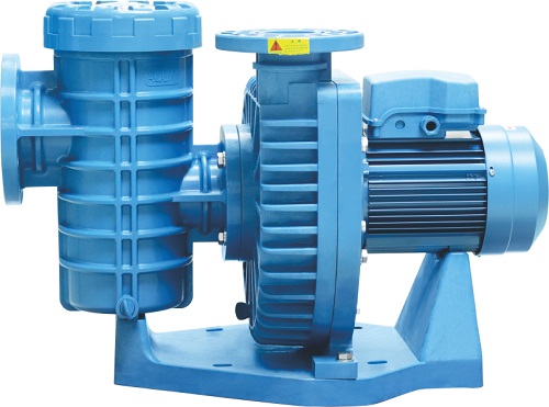 小猪视频免费下载高清小猪视频在线观看下载免费污循环水泵ALK系列 小猪视频免费下载高清小猪视频在线观看下载免费污循环水泵ALK系列