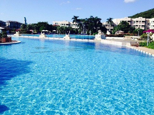 游小猪视频在线观看下载免费污