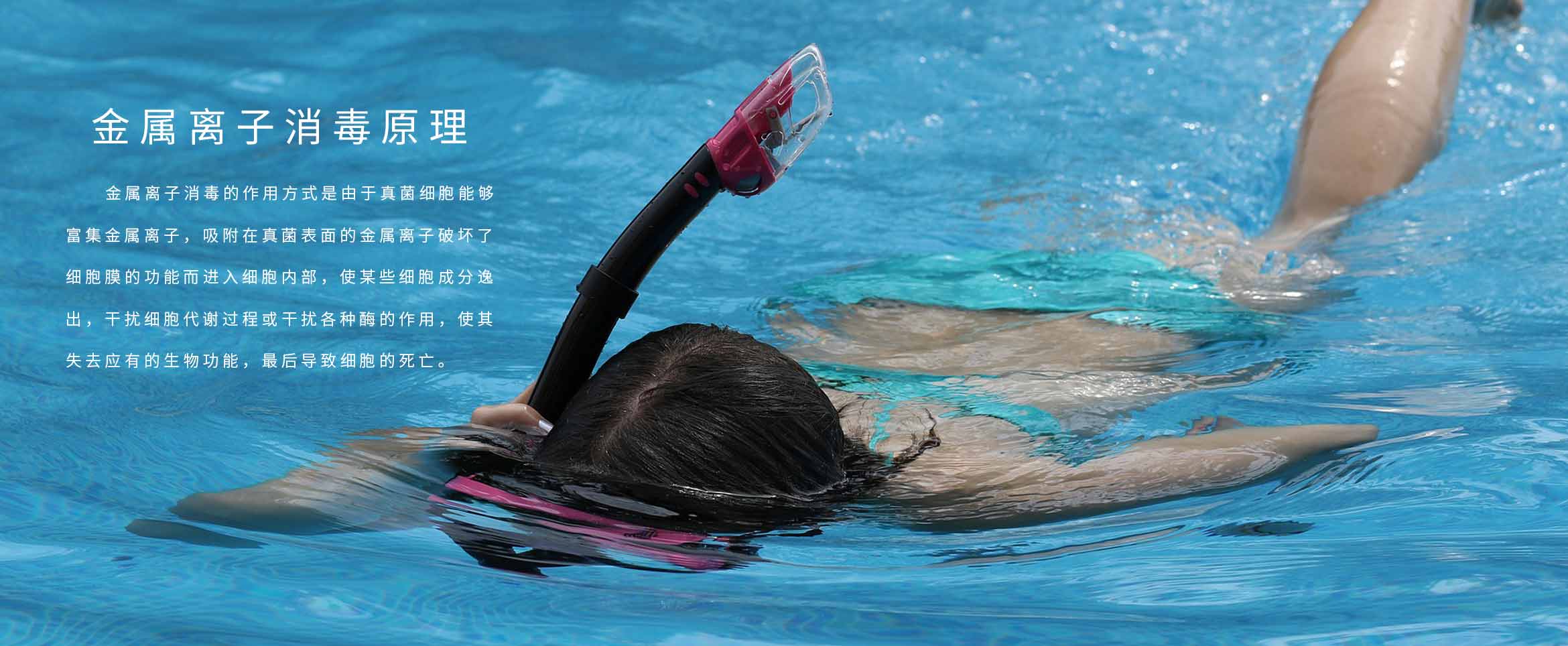 游小猪视频在线观看下载免费污