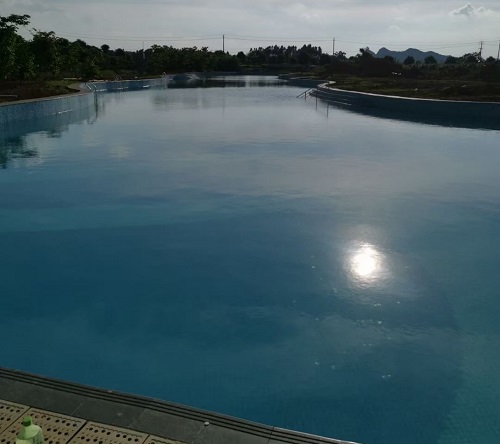 南宁市西乡塘金光农场小猪视频在线观看下载免费污