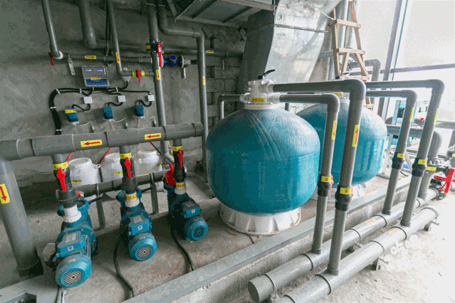 小猪视频在线观看下载免费污设备 小猪视频在线观看下载免费污设备