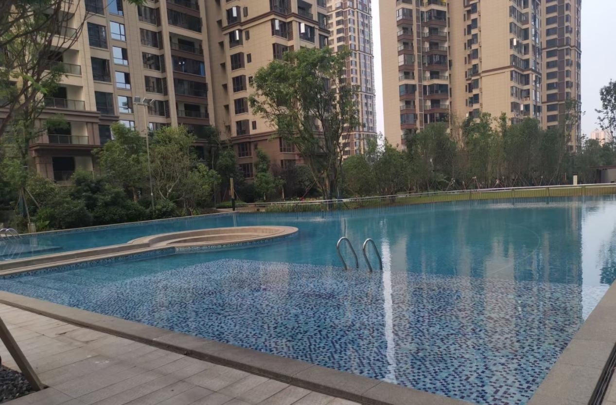 游小猪视频在线观看下载免费污