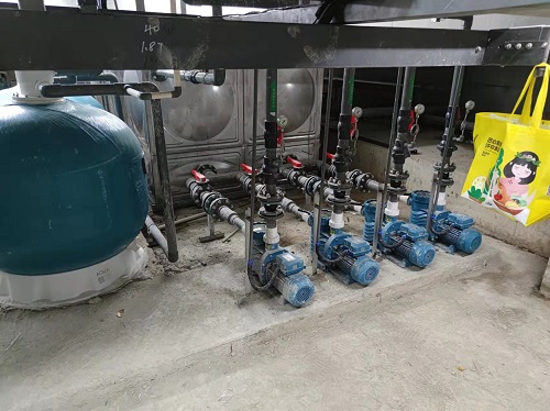 小猪视频在线观看下载免费污设备 小猪视频在线观看下载免费污设备