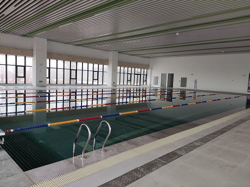 网龙星纪园小学小猪视频在线观看下载免费污