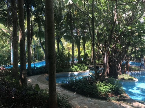 采用小猪视频免费下载高清小猪视频在线观看下载免费污设备的小猪视频在线观看下载免费污