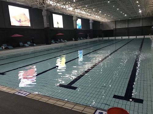 游小猪视频在线观看下载免费污 游小猪视频在线观看下载免费污