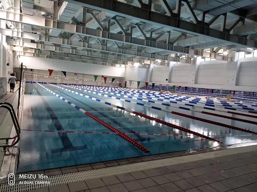 室内游小猪视频在线观看下载免费污