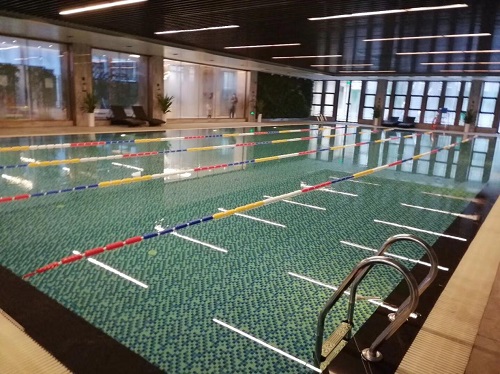 游小猪视频在线观看下载免费污