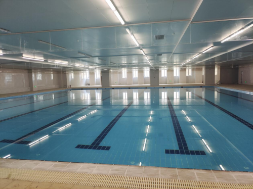 秀峰路小学小猪视频在线观看下载免费污采用小猪视频免费下载高清小猪视频在线观看下载免费污设备