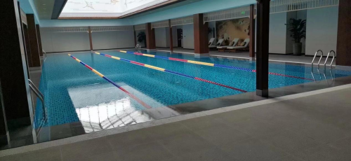 会所游小猪视频在线观看下载免费污