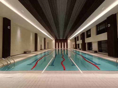 室内游小猪视频在线观看下载免费污 室内游小猪视频在线观看下载免费污