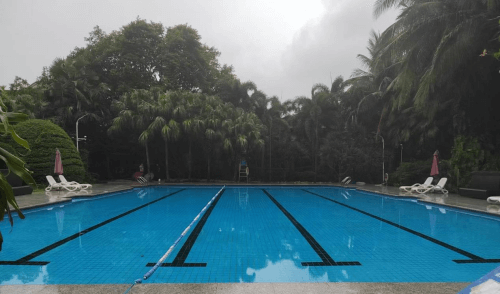 酒店游小猪视频在线观看下载免费污