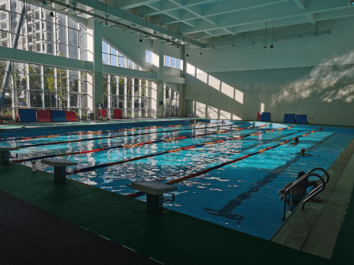 体育中心小猪视频在线观看下载免费污