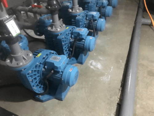 小猪视频免费下载高清循环水泵