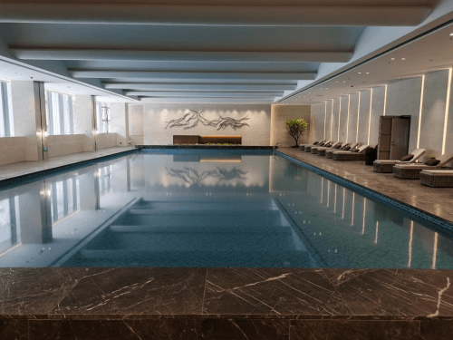 室内游小猪视频在线观看下载免费污