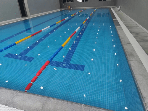 室内小猪视频在线观看下载免费污