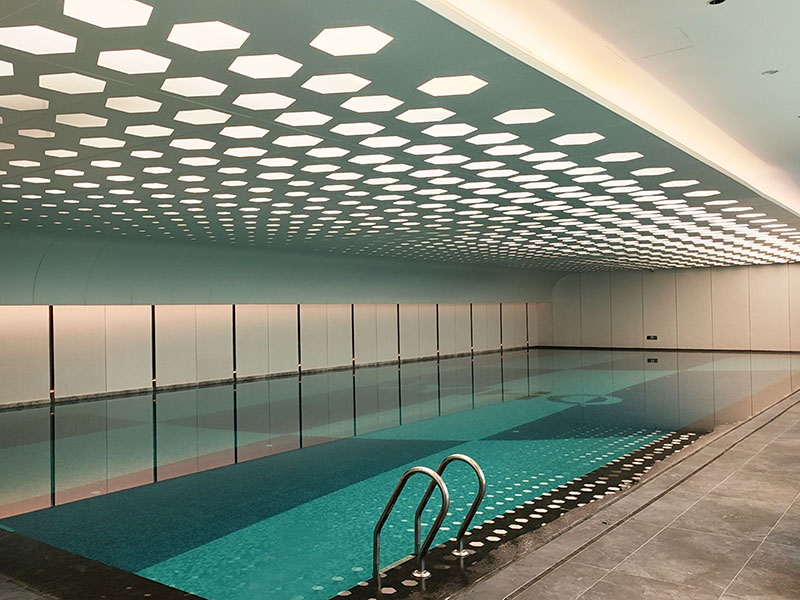 酒店小猪视频在线观看下载免费污设备