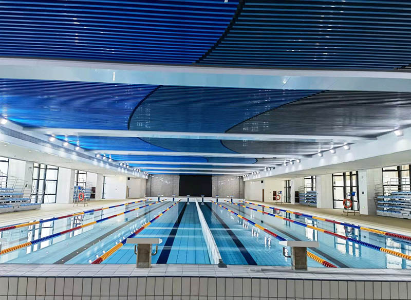 学校小猪视频在线观看下载免费污设备