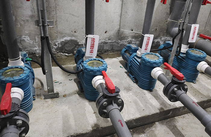 小猪视频在线观看下载免费污水泵