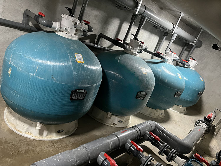 小猪视频免费下载高清砂缸