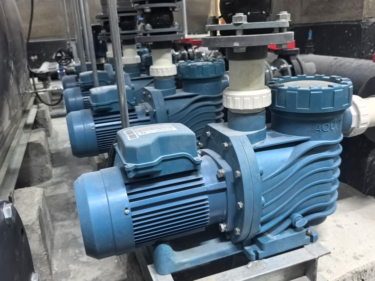 小猪视频免费下载高清小猪视频在线观看下载免费污水泵