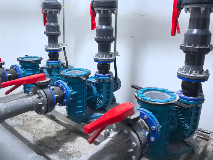 小猪视频在线观看下载免费污循环水泵